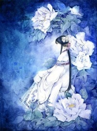 医圣传承（叶皓轩）