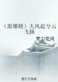 《(琅琊榜同人)大风起兮云飞扬》