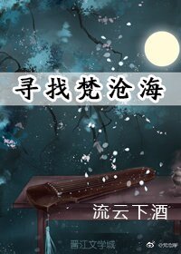 《寻找梵沧海》