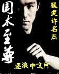 《国术至尊》