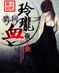 《猎人同人之玲珑血(完本)》