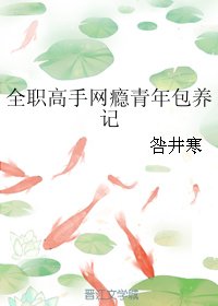 《(BG/全职同人)全职高手网瘾青年包 养记》