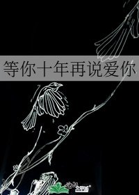 《等你十年再说爱你》