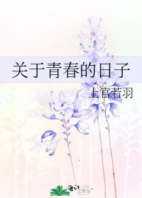 《关于青春的日子》