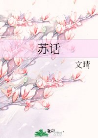 《苏话》