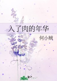 《入了肉的年华》