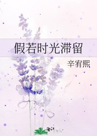 《假若时光滞留》