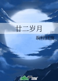 《廿二岁月》