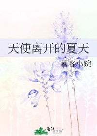 《天使離開的夏天》