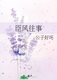 《臣风往事》