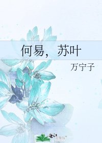 何易,蘇葉