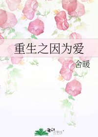 《重生之因为爱》