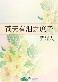 《苍天有泪之庶子》