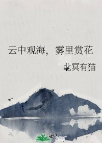 云中观海，雾里赏花