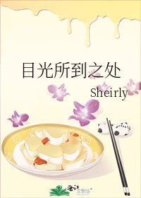 《目光所到之处》